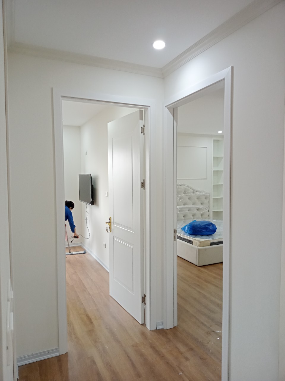 Cửa nhựa Composite Sơn cao cấp Tokyodoor HS09 Cửa nhựa Composite Sơn cao cấp Tokyodoor HS09
